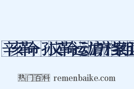 辛亥革命·孙文革命运动清方档案组词是什么意思的图片